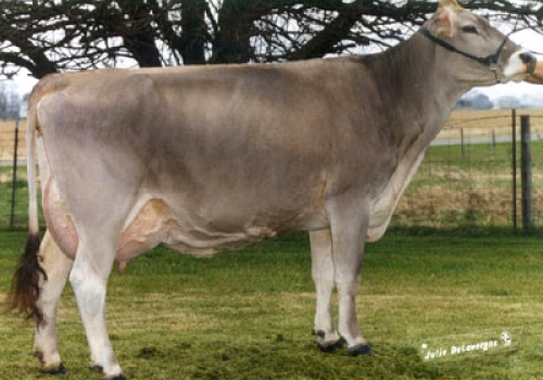 TOP ACRES MONA BUFFY ET EX91_MÃE DO BUFFY