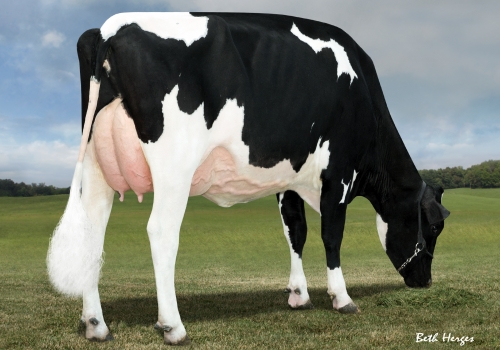 VENTURE SHOTTBOLT SIZZLE P_VG86_BISAVÓ DO SERGIO