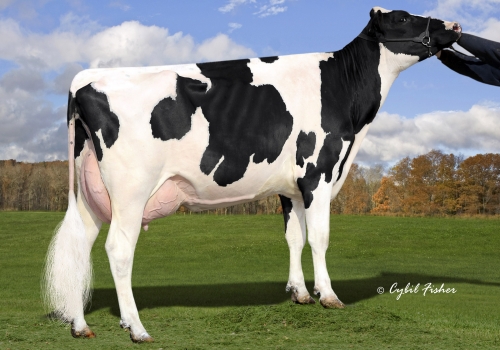 MS WELCOME UNO TARINA-ET_VG86_MÃE DO TUCKER