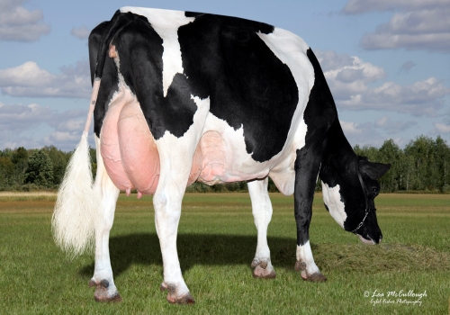 AURORA IOTA 11727 MB-88 - BISAVÓ DO MITCHELL 53