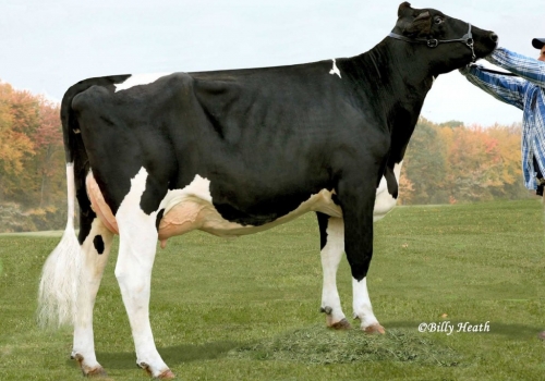 CLEAR-ECHO FBI 1461-ET_EX90_BISAVÓ DO TORPEDO