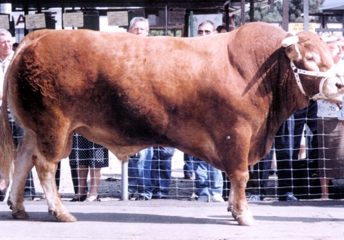 Coco em Exposição na França