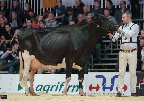 DRAKKAR BULONA EX-91_IRMÃ DO NOBRE.jpg