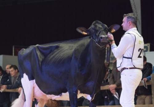 DRAKKAR BULONA EX-91_IRMÃ DO NOBRE2.jpg