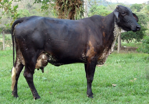 Mãe - Lapaz FR Recreio.jpg