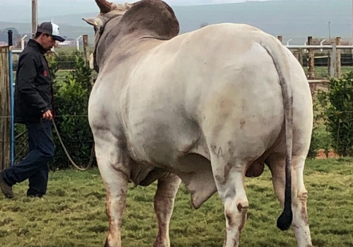 JARGON KA - Dia de Campo 20-10-2018 (2).jpg