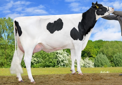 Silver_Nikita_VG-87 - Mãe Santi.jpg