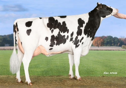 Debel-Bynke-Myself_VG-87 - Avó Jerez.jpg