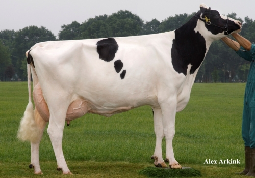 Broeks Mbm Elsa EX-90 - Bisavó Jamie.jpg