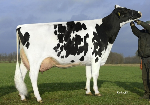 RR-Shottle-Elisa EX-90 - Avó Jamie.jpg