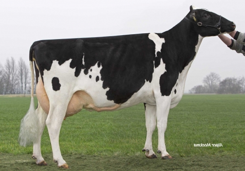 Shottle-Gala_VG-89 - Avó Bitacora.jpg