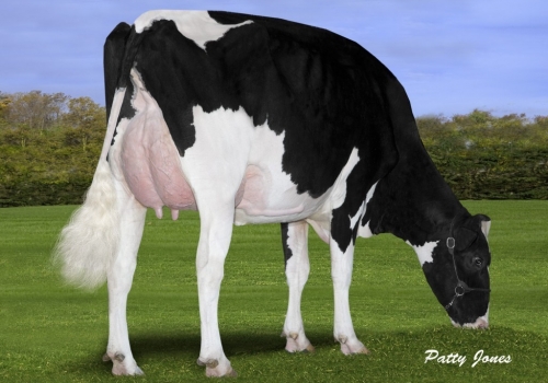 Freurehaven-FGS-Laure_VG87- Irmã inteira de Lucy (bisavó).jpg