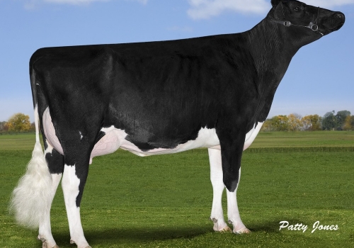 Freurehaven-FGS-Lucy_VG85 - Bisavó Houston.jpg