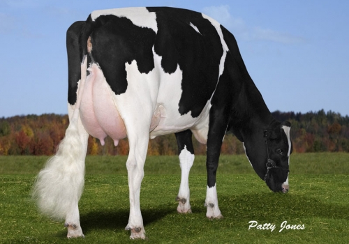Freurehaven-Lautella-Bolton_EX92 - 5a mãe Houston.jpg