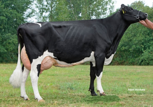 Retraite-Montross-Lilya-1_VG-85 - Mãe Houston.jpg