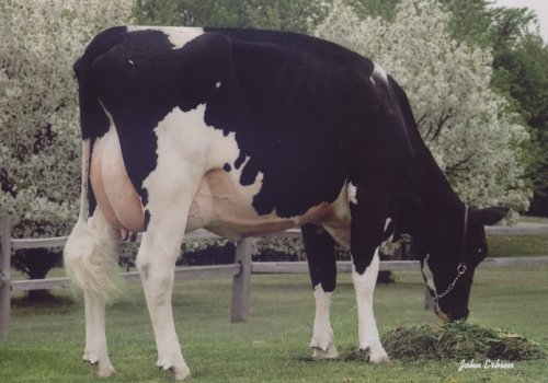 Ralma-Christmas-Durham-Fudge_VG-88 - 4a mãe Mixer.jpg