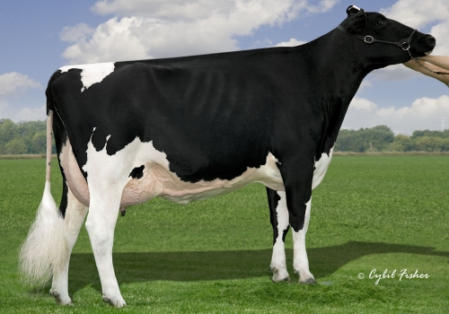 Ralma-Goldwyn-Carmel-ET_EX-92 - Avó Mixer.jpg