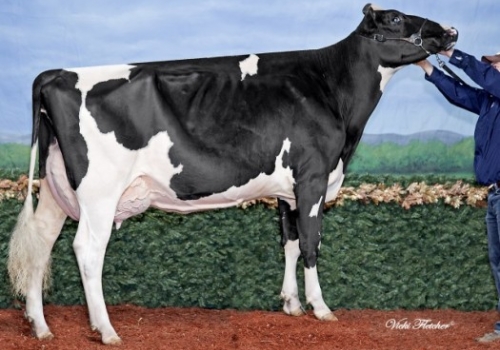 R-Z Baxter Caramel_VG-89 - Irmã da mãe Mixer.jpg