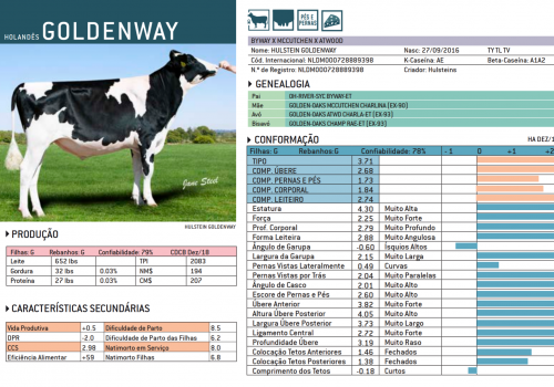 GOLDENWAY 2019 - IMPRESSÃO.png