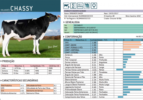 CHASSY 2019 - IMPRESSÃO.png