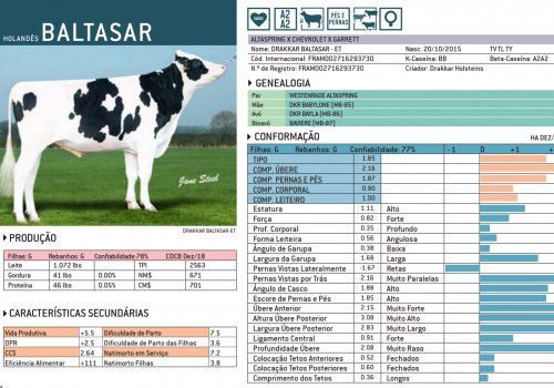 BALTASAR 2019 - IMPRESSÃO.png