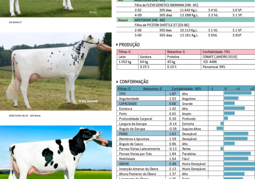 BAHIA 2019 - IMPRESSÃO.png