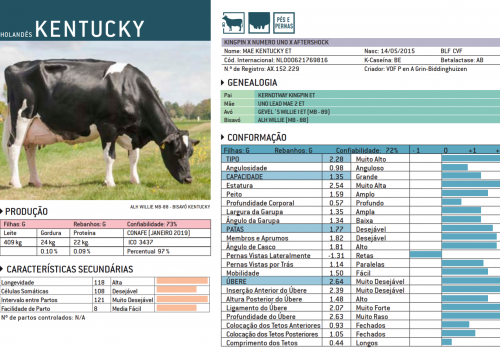 KENTUCKY 2019 - IMPRESSÃO.png