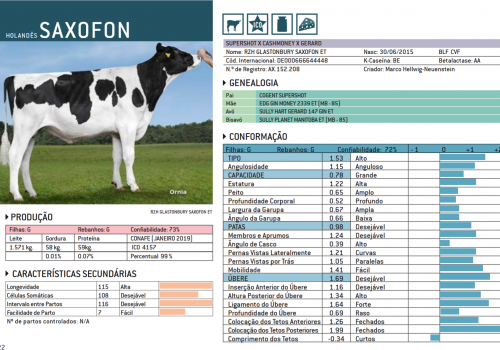 SAXOFON 2019 - IMPRESSÃO.png