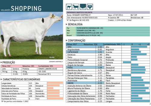 SHOPPING 2019 - IMPRESSÃO.png