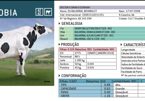 BEHOBIA 2019 - IMPRESSÃO.png