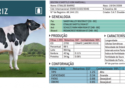 BIARRIZ 2019 - IMPRESSÃO.png