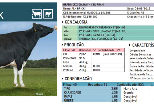 BRICK 2019 - IMPRESSÃO.png