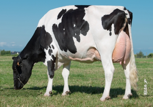 BAVIERE VG-87 - BISAVÓ BALTASAR 1.jpg