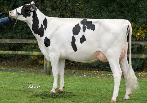 DKR BABYLONE VG-85 - MÃE BALTASAR.jpg