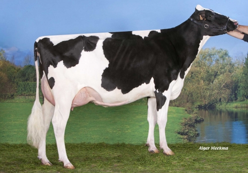 DKR BAYLA VG-86 - AVÓ BALTASAR.jpg