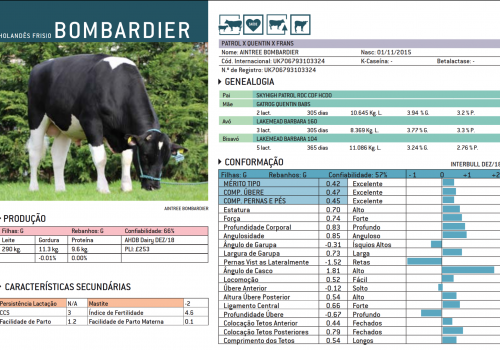 BOMBARDIER 2019 - IMPRESSÃO.png