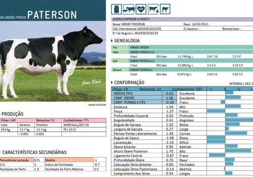 PATERSON 2019 - IMPRESSÃO.png
