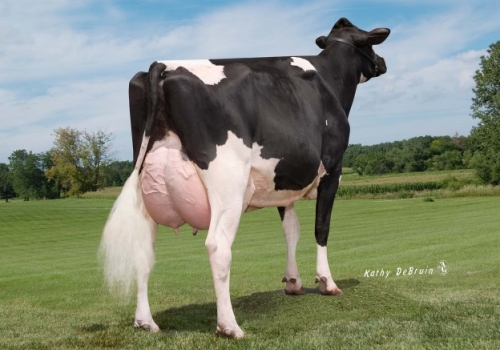 GOLDEN OAKS ATWOOD CHARLA EX-93 - AVÓ GONDENWAY.jpg