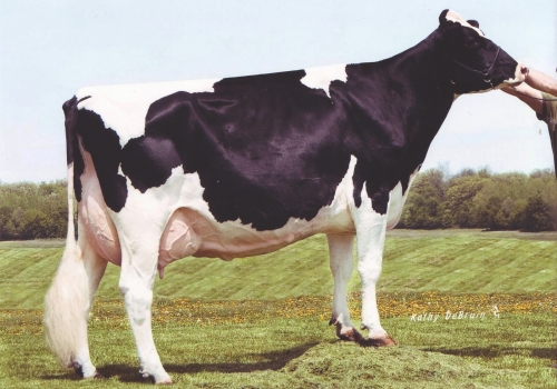 GOLDEN OAKS CHAMP RAE EX-93 - BISAVÓ GOLDENWAY 2.jpg