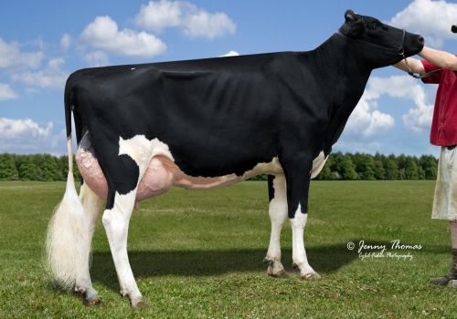 FREUREHAVEN LABELLE EX-90 - AVÓ LAMBORGHINI.jpg