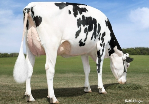 MS C-HAVEN OMAN KOOL ET (MB-88) - BISAVÓ WHISKY 2.jpg