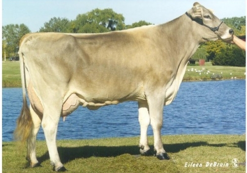GENESIS EVEN VICTORIA (EX-93) - MÃE VICTOR.jpg