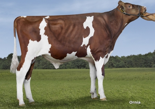 ARIZONA_ALTA RESOLUÇÃO reduzida.jpg