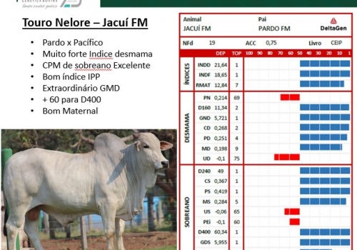 Jacuí FM Prova