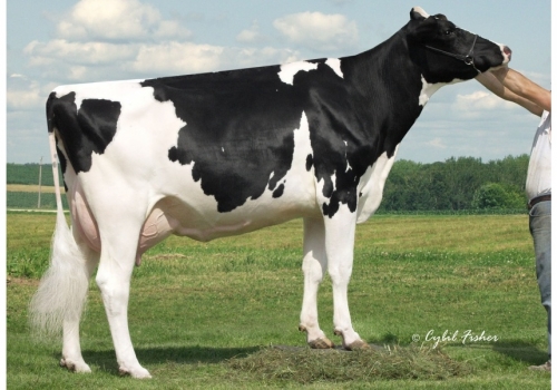 UFM-DUBS EROY TV (VG-87) - As Origens de Camelot.jpg