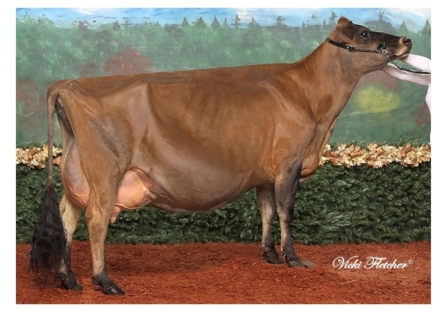 RAPID BAY WHISTIERS RUMOUR (EX-95) - tataravó de Ollie.jpg