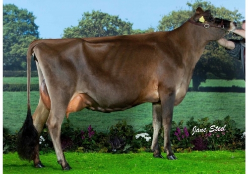 RAPIDBAY-UK JADES RUMOUR (EX-92) - bisavó de Ollie.jpg