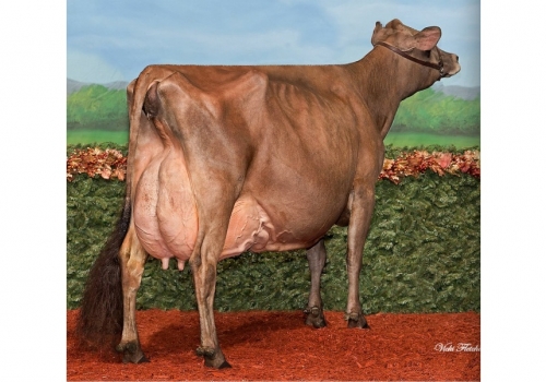 RAPID BAY GORGEOUS GIGGLE ET (EX-95) - irmã completa da mãe de Minister 1.jpg