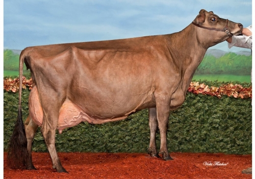 RAPID BAY GORGEOUS GIGGLE ET (EX-95) - irmã completa da mãe de Minister.jpg