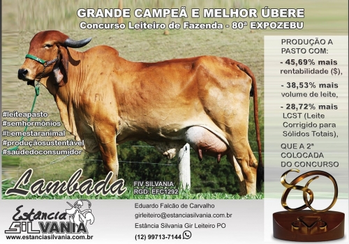 Foto Mãe - Lambada FIV Silvania.jpeg